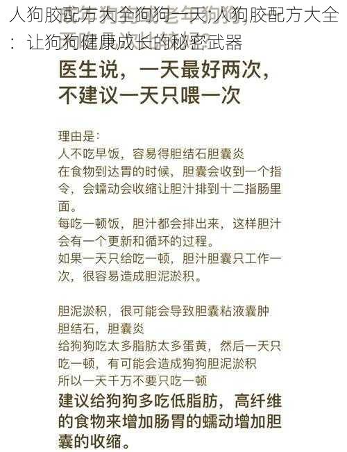 人狗胶配方大全狗狗一天;人狗胶配方大全：让狗狗健康成长的秘密武器