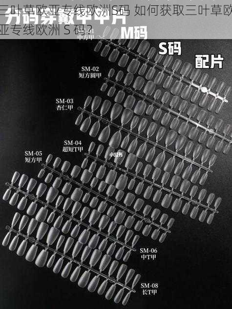 三叶草欧亚专线欧洲S码 如何获取三叶草欧亚专线欧洲 S 码？