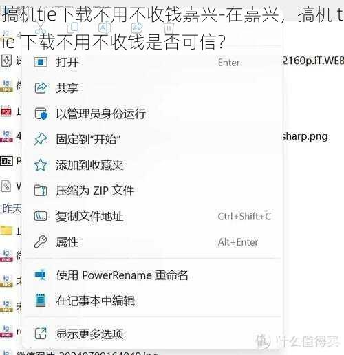 搞机tie下载不用不收钱嘉兴-在嘉兴，搞机 tie 下载不用不收钱是否可信？