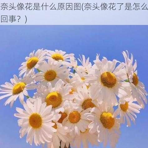 奈头像花是什么原因图(奈头像花了是怎么回事？)