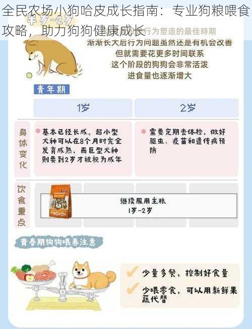 全民农场小狗哈皮成长指南：专业狗粮喂食攻略，助力狗狗健康成长