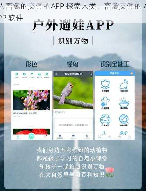 人畜禽的交佩的APP 探索人类、畜禽交佩的 APP 软件