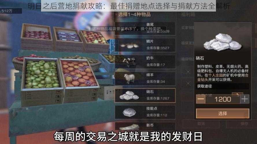 明日之后营地捐献攻略：最佳捐赠地点选择与捐献方法全解析