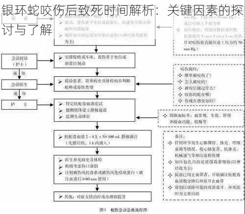 银环蛇咬伤后致死时间解析：关键因素的探讨与了解