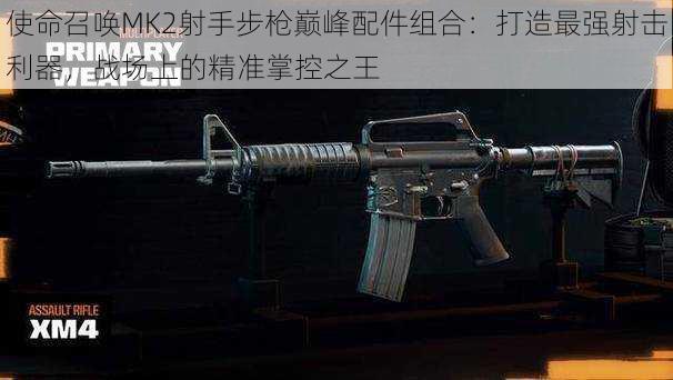 使命召唤MK2射手步枪巅峰配件组合：打造最强射击利器，战场上的精准掌控之王