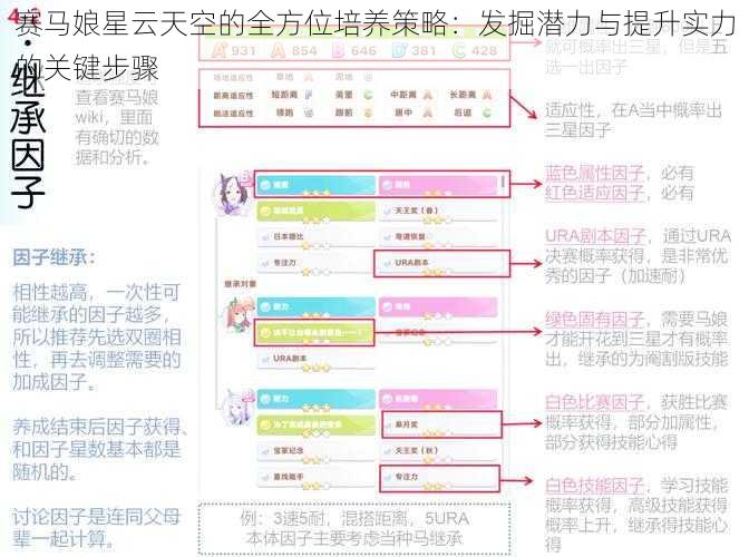 赛马娘星云天空的全方位培养策略：发掘潜力与提升实力的关键步骤