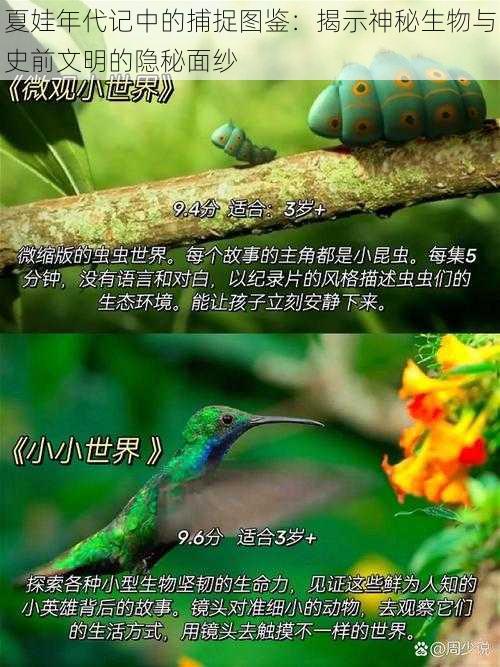 夏娃年代记中的捕捉图鉴：揭示神秘生物与史前文明的隐秘面纱