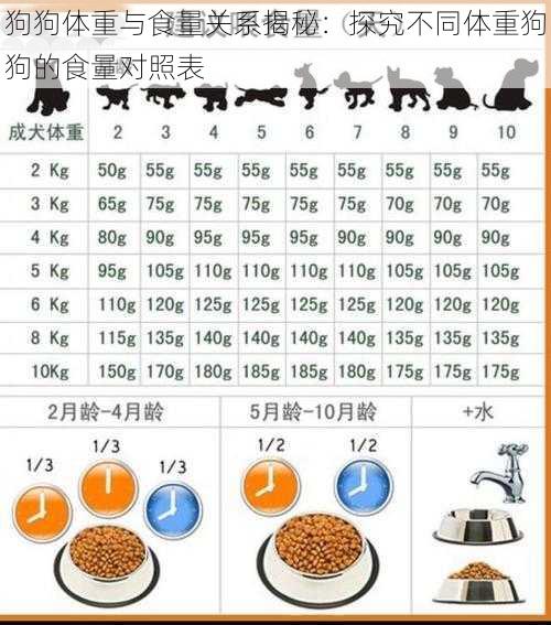 狗狗体重与食量关系揭秘：探究不同体重狗狗的食量对照表