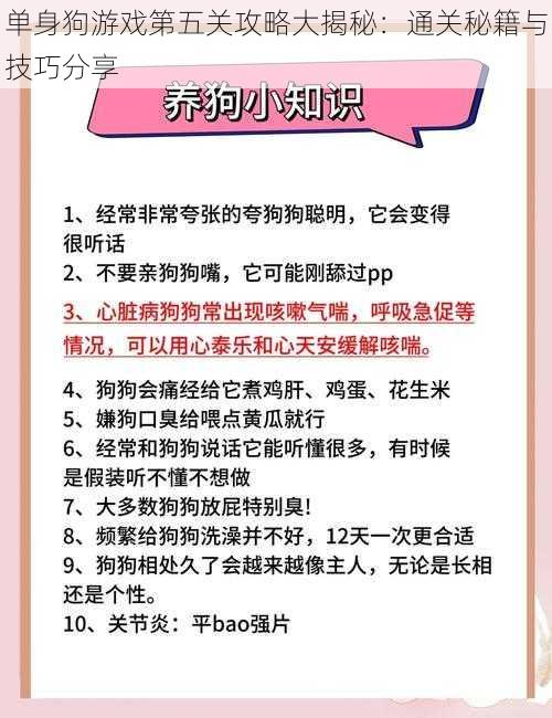 单身狗游戏第五关攻略大揭秘：通关秘籍与技巧分享