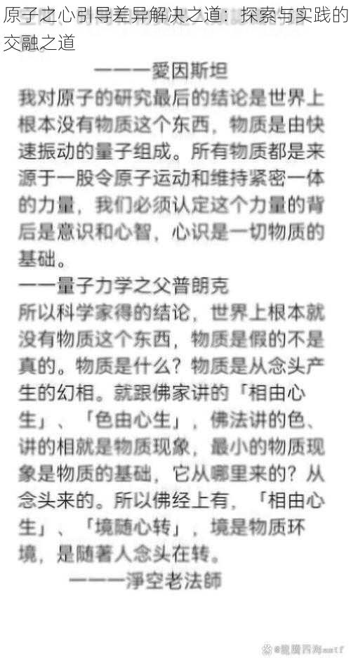 原子之心引导差异解决之道：探索与实践的交融之道