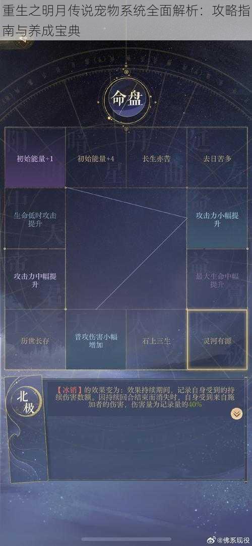 重生之明月传说宠物系统全面解析：攻略指南与养成宝典